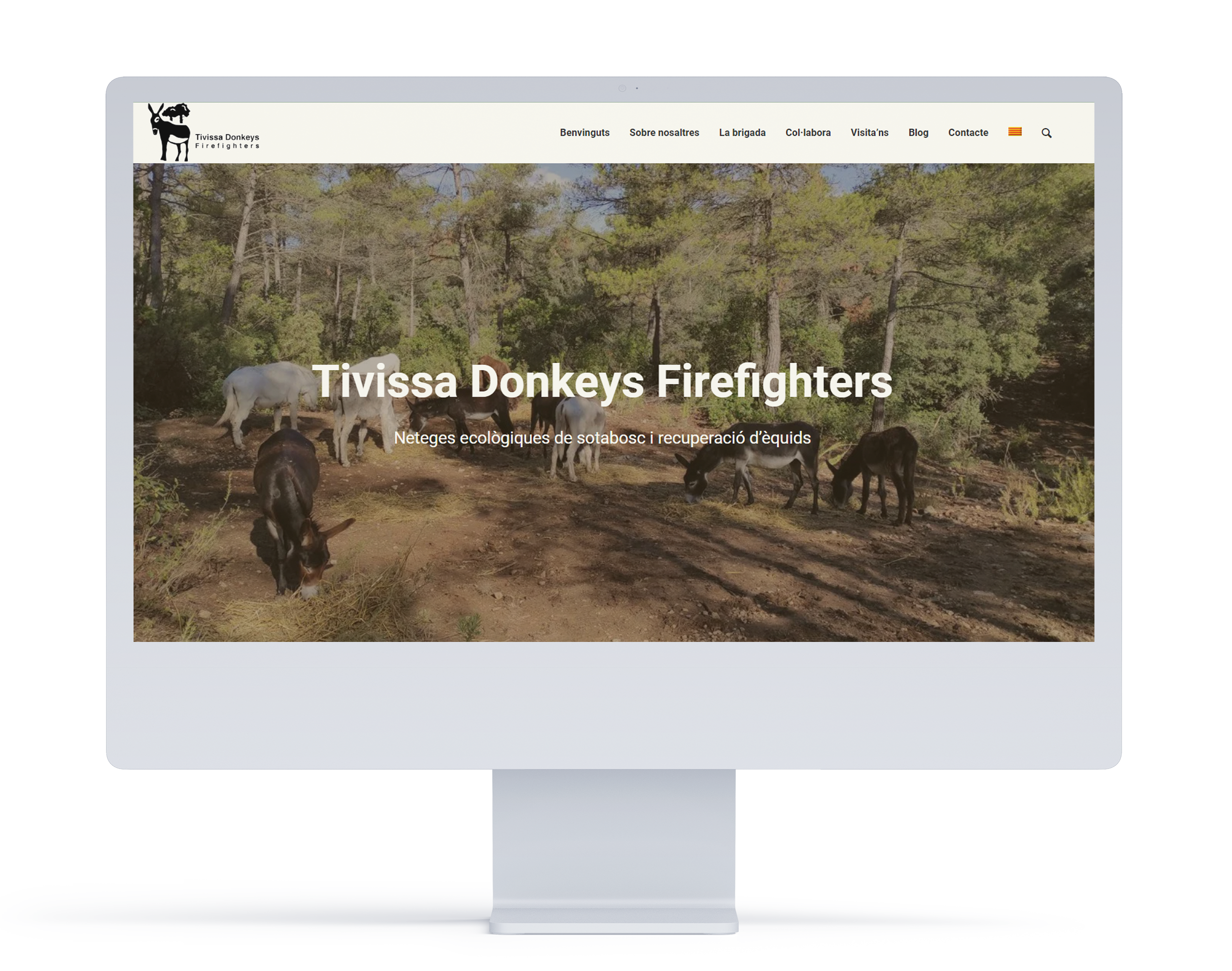 allucinant studio projects - tivissa donkeys firefighters website mockup
